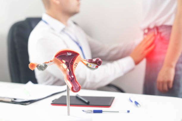 Picture3 Doctor discusses women's health with patient; pelvic anatomy model (uterus with ovaries and fallopian tubes) sits on the desk as the patient rubs her back in pain.