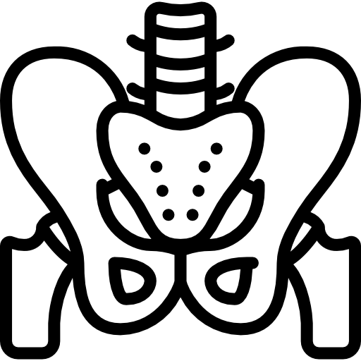 Picture1296 - drpallavichauhan Line drawing of the human pelvis with hip bones and spine, shown from the front.